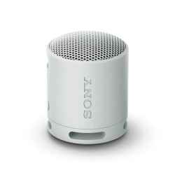 Sony SRS-XB100H sivi zvučnik