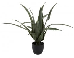 Veštačka biljka V65cm aloe vera - Img 1