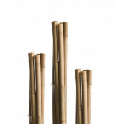 Windhager bambus štap 150cm ( WH 05609 )
