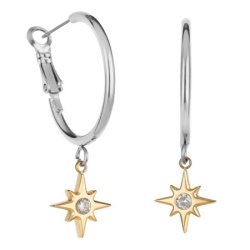 Ženske freelook srebrne zlatne mindjuše od hirurškog Čelika ( frj.3.5009.2 )