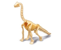 Buki Dino iskopina brachiosaurus ( 105961 )-6