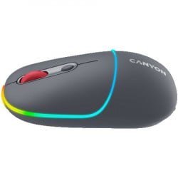 Canyon MW-22, 2 in 1 wireless optical mouse ( CNS-CMSW22DG )  - Img 4