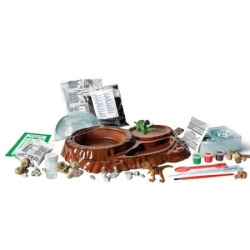 Clementoni Science and play dino world set ( CL61392 ) -2