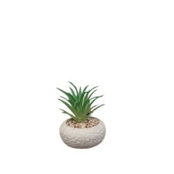 Dekordom cvet u saksiji - succulent cube 321 - n44 ( 024276 )-5