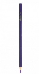 Drvena boja violet 1/1(24) ( TTS 404994 ) - Img 1