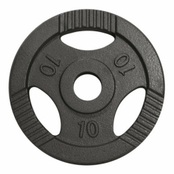 Gorilla Sports Teg od livenog gvožđa 10 kg (50 mm u sivoj boji) ( 100990-00003-0016 )