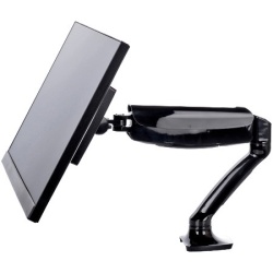 Iiyama 10~27", VESA 75x75 or 100x100mm, 1~5kg ( DS3001C-B1 )
