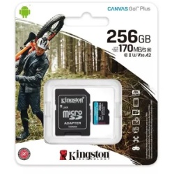 Kingston SD Card 256GB, Canvas Go! Plus, SDXC Class10 UHS-1 U3 V30 ( SDG4/256GB ) -2