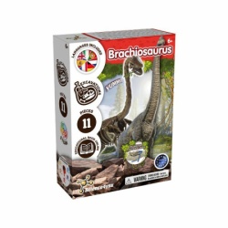 Kreativni set iskopaj fosil brachiosaurus ( 132/37566 )