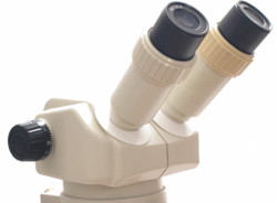Lacerta mikroskop IND2Z-Stereo ( INDc2z ) - Img 4