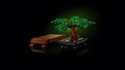 Lego 10281 bonsai drvo ( 10281 ) - Img 14