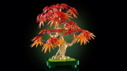 Lego 10348 Crvenolisni japanski bonsai javor ( 10348 )-7