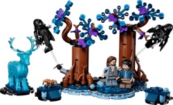 Lego harry potter tm forbidden forest expecto p ( LE76475 )