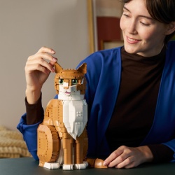 Lego Narandžasta mačka ( 21376 )-6