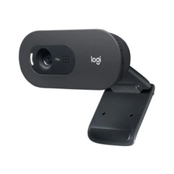 Logitech c505 960-001364 Wcam ( 52478 )-3
