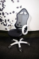 Office Chair Executive DS-026 Black/White (Mesh,PU) ( DS-026 )