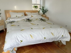 Ranforce posteljina za bračni krevet 200x220cm - Pero ( VLK000502-Pero )