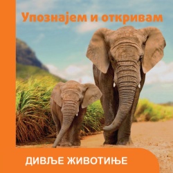 Upoznajem i otkrivam: Divlje životinje ( 29502 )