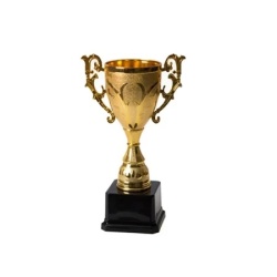 Winner p3 pehar plastični17cm ( 701200 )