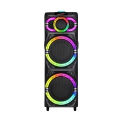 Zvucnik bluetooth ndr-2270 100w 2*12 inca sa dva mikrofona crni ( ZV1138 )-4