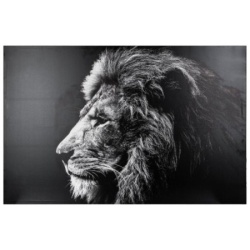 Atmosphera slika na platnu lion 78x118  mdf e1/polister ( 158210 )-1