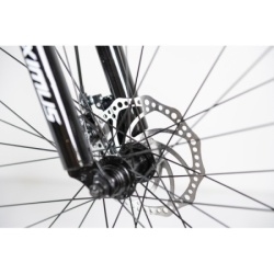 Bicikla 29"/21  maximus grey   ( BCK0953 ) -3