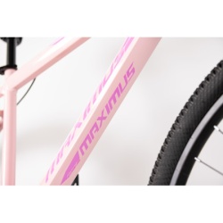 Bicikla 29"/21  maximus pink   ( BCK0950 ) -4