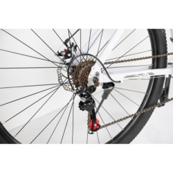 Bicikla 29"/21  maximus white   ( BCK0952 ) -2