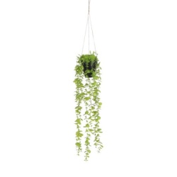 Dekordom 1083464 Cvet u saksiji eucalyptus 54cm - green - edl ( 040439 )
