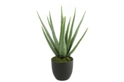 Dekordom Cvet u saksiji aloe 49cm 768198 - green - dcs ( 040141 )
