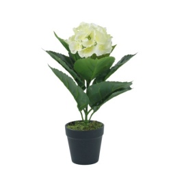 Dekordom Cvet u saksiji - hydrangea bj10/1 - 30cm - n55 ( 025083 )