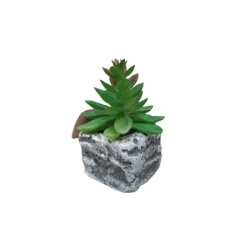 Dekordom cvet u saksiji - succulent round 123 - n44 ( 024274 )-7