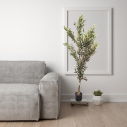 Dekordom Drvo olive 180cm - n61 ( 025156 )