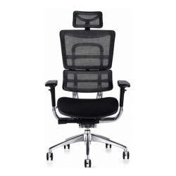 Ergonomska radna stolica HAVAS - Crna ( 5497 )