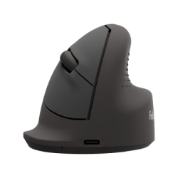 Fellowes Breyta 100143579 crni Miš ergonomski ( N469 )
