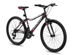 Galaxy Bicikl galaxy festina 26"/18 crna/siva/ciklama mat ( 650069 )