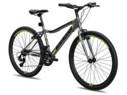 Galaxy Bicikl galaxy festina 26"/18 siva/crna/neon zelena mat ( 650214 )