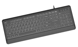 Gembird KB-UML-04 Tanka žičana osvetljena tastatura, crna, US raspored