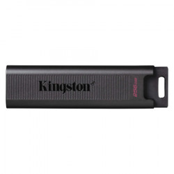 Kingston 256GB USB flash drive, USB 3.2 Gen.2 Type-C, DataTraveler Max ( DTMAX/256GB )  - Img 1