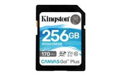 Kingston SDG3/256GB class 10 170Mbs/90MBs A2 SD Card 256GB ž-1