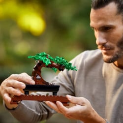 Lego 10281 bonsai drvo ( 10281 ) - Img 7