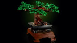 Lego 10281 bonsai drvo ( 10281 ) - Img 15