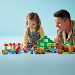 Lego 10461 Bašta i staklenik Deke Praseta ( 10461 )-5