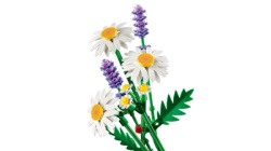 Lego botanical daisies ( LE11508 ) -3