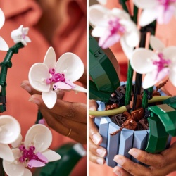 Lego BOTANICALS Orhideja ( 1043991 )-3
