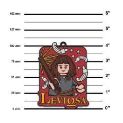 Lego Hari Poter magnet: Leviosa ( 53241 )-4