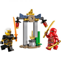 Lego Kajeva i Reptonova borba u hramu ( 30650 ) - Img 2