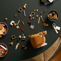 Lego Narandžasta mačka ( 21376 )-3