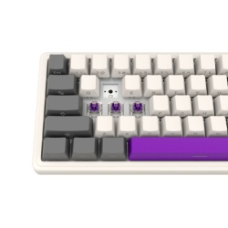 Lorgar Wireless mechanical gaming keyboard Pro, 2.4 GHz, Toxic Purple switches, beige grey purple ( LRG-KBP70MW-RT-US ) -8