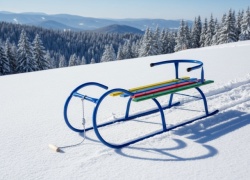 Metalne V model sanke sa drvenim sedištem i naslonom - Plave -